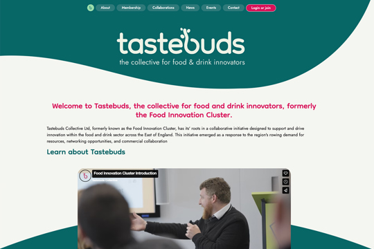 Tastebuds Collective